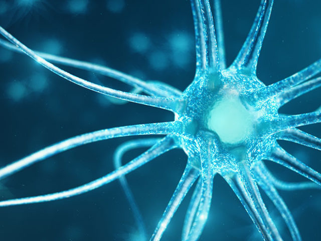 Stuart Therapeutics, Inc. Announces Pro-Neuronal Growth Results Using PolyColTM Collagen Mimetic Peptides